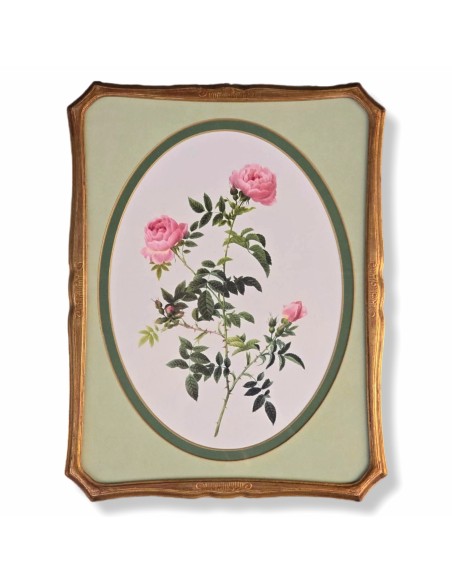 ROSE REDOUTÉ in oro e verde