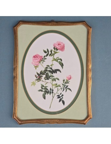ROSE REDOUTÉ in oro e verde