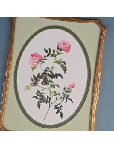 ROSE REDOUTÉ in oro e verde