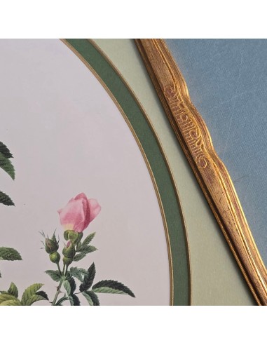 ROSE REDOUTÉ in oro e verde