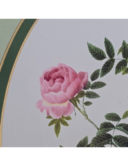 ROSE REDOUTÉ in oro e verde