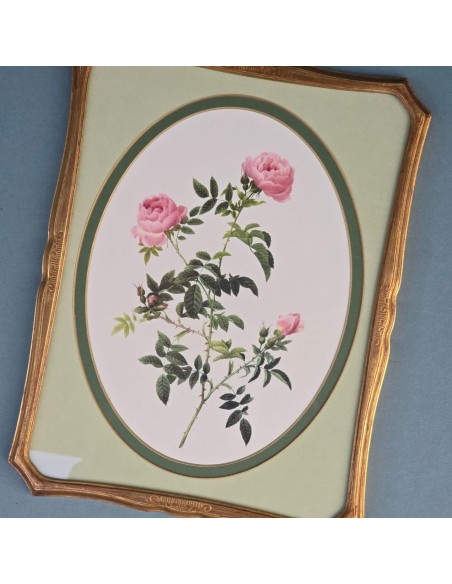 ROSE REDOUTÉ in oro e verde