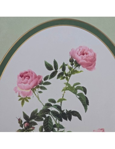 ROSE REDOUTÉ in oro e verde