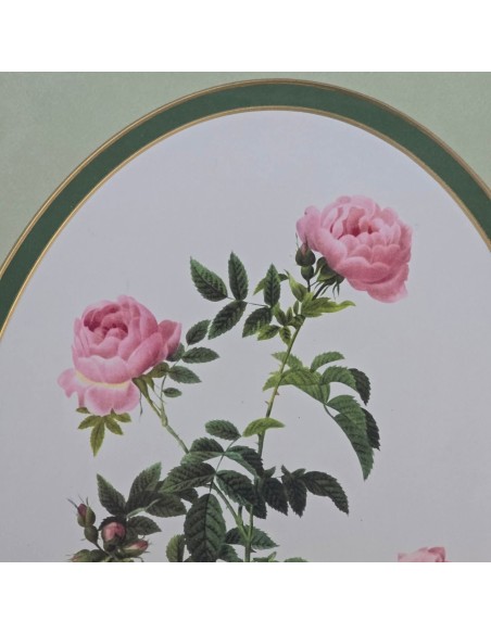 ROSE REDOUTÉ in oro e verde
