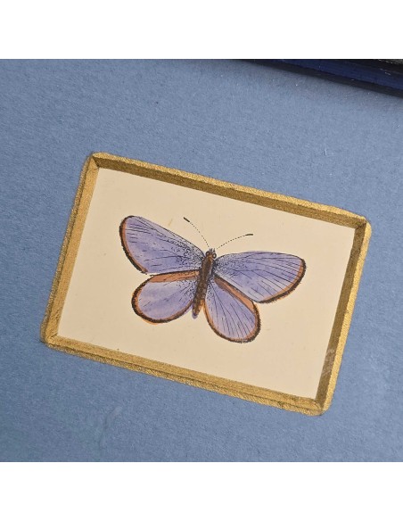 FARFALLE rettangolari