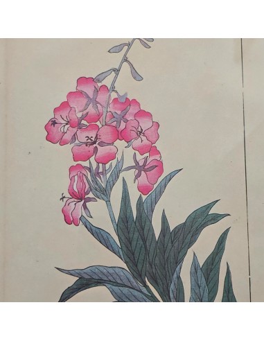 FIORI GIAPPONESI BAMBOO