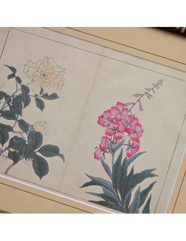FIORI GIAPPONESI BAMBOO