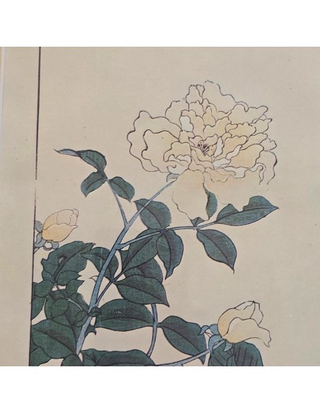 FIORI GIAPPONESI BAMBOO