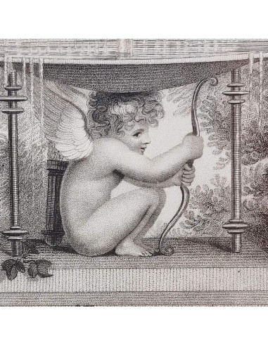 LA FONTANA DI CUPIDO