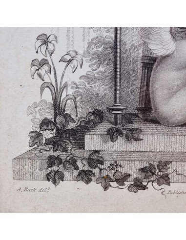 LA FONTANA DI CUPIDO