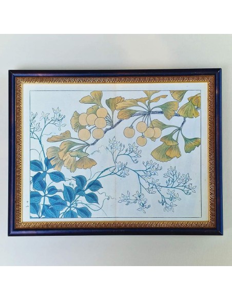 FIORI GIAPPONESI