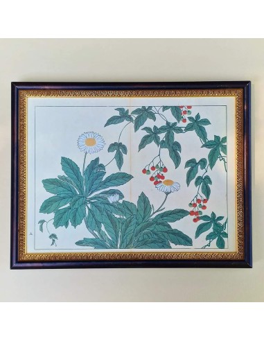 FIORI GIAPPONESI