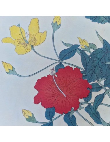 FIORI GIAPPONESI
