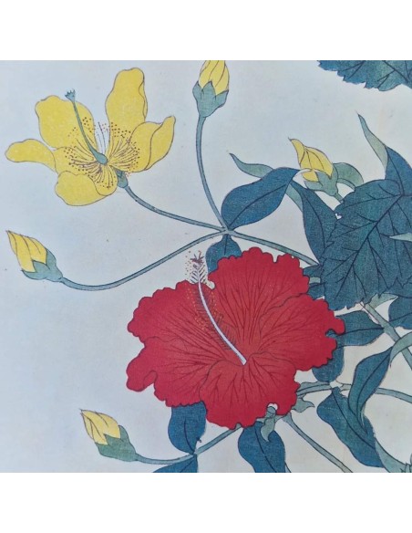 FIORI GIAPPONESI