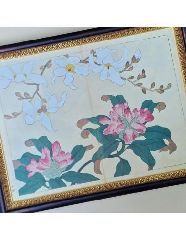 FIORI GIAPPONESI