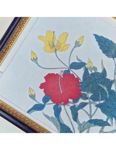 FIORI GIAPPONESI