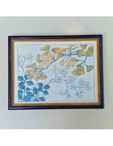 FIORI GIAPPONESI
