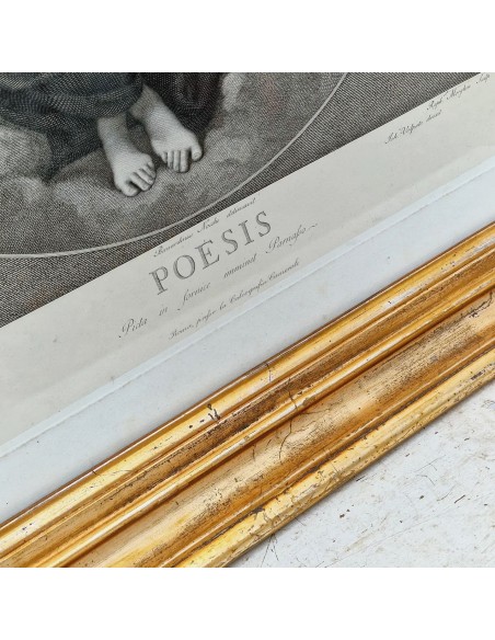 POESIS : Allegoria della Poesia