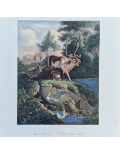 L' ALLARME 2
