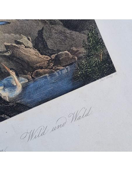 L' ALLARME