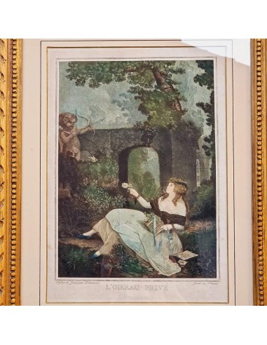 L'OISEAU PRIVE'