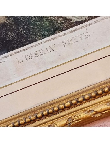 L'OISEAU PRIVE'