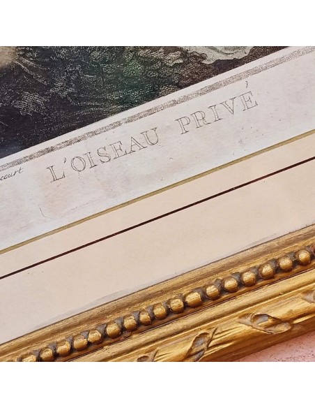 L'OISEAU PRIVE'