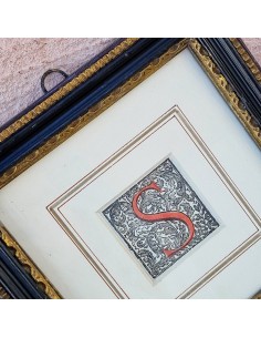 CAPOLETTERA " S " 2