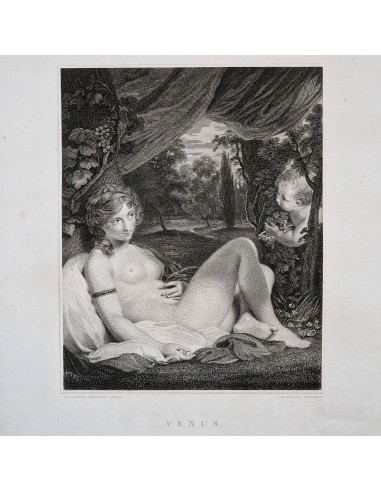 VENUS