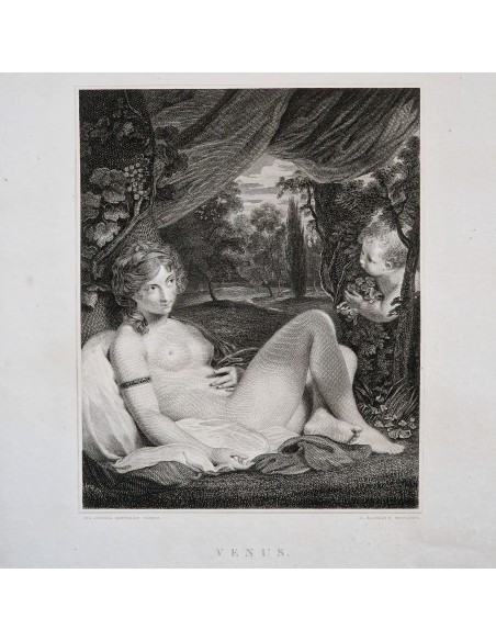 VENUS