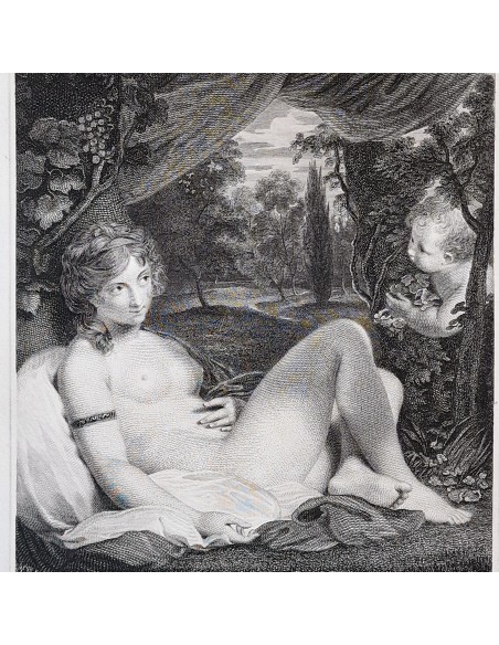 VENUS