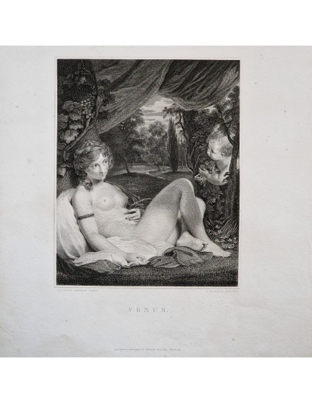 VENUS