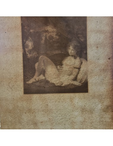 VENUS