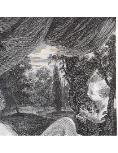 VENUS