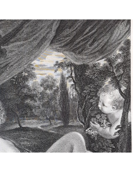 VENUS
