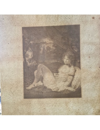 VENUS