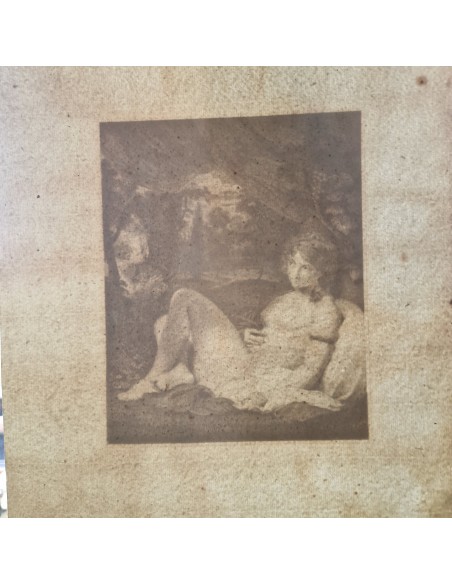 VENUS