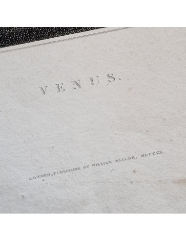 VENUS