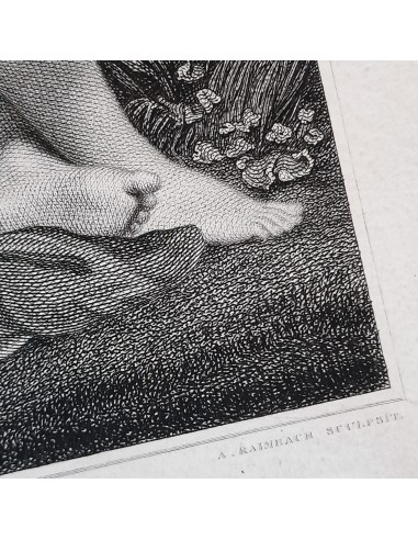 VENUS