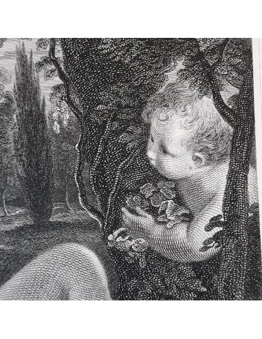 VENUS