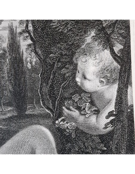 VENUS