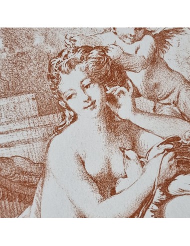 TOLETTA DI VENERE