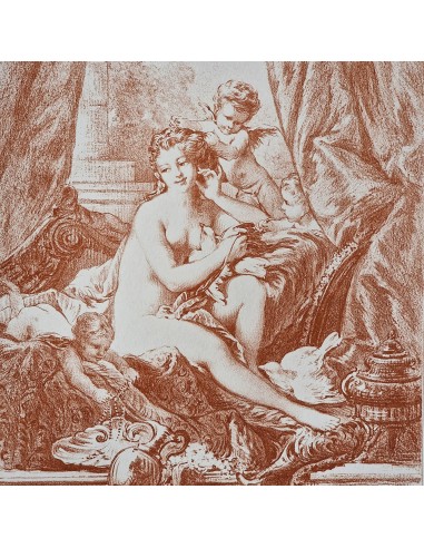 TOLETTA DI VENERE
