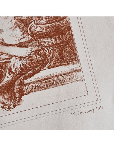 TOLETTA DI VENERE
