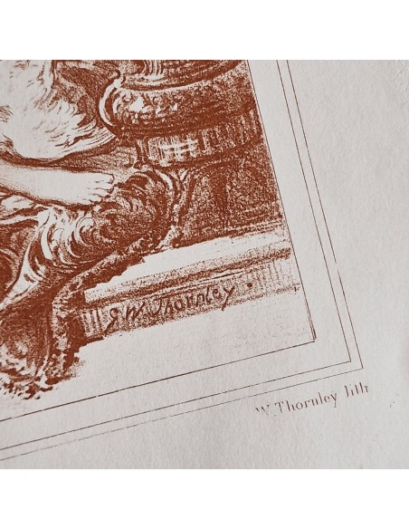 TOLETTA DI VENERE