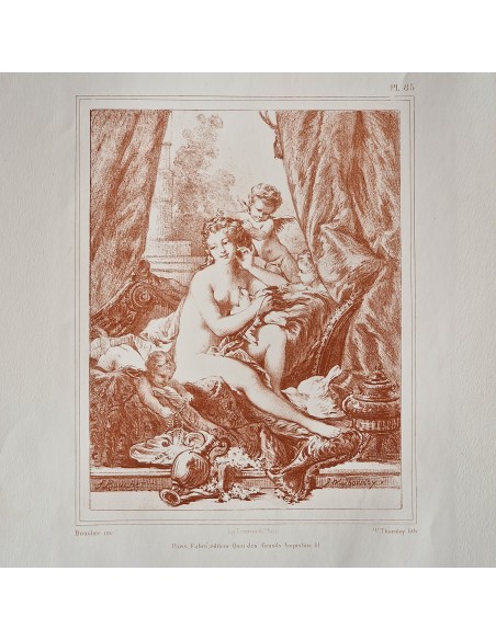 TOLETTA DI VENERE
