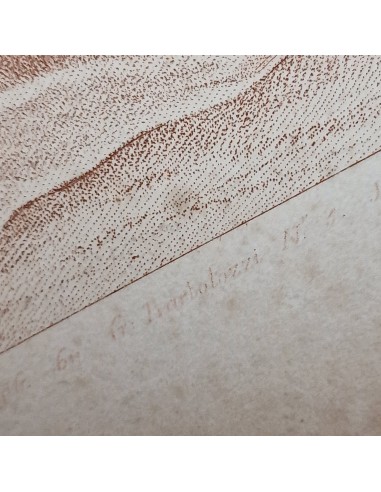 ALLEGORIA DEL DISEGNO CON PUTTI