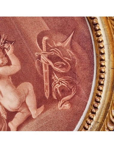 CAMILLA DISARMATA DA CUPIDO