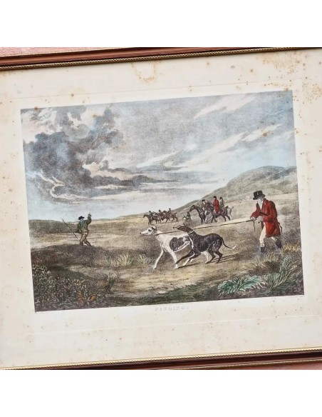 CACCE INGLESI CON LEVRIERI