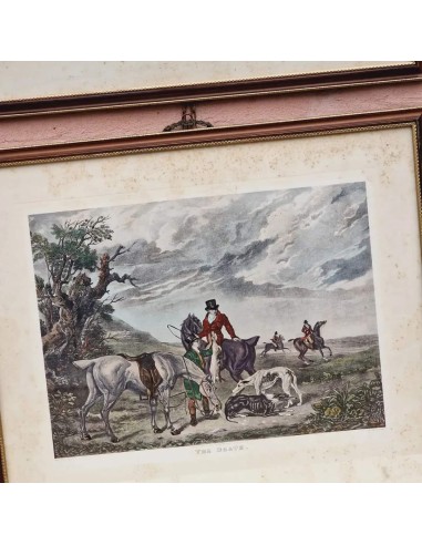 CACCE INGLESI CON LEVRIERI